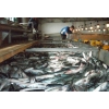 Сдается в аренду производство по переработки рыбной продукции,    12000 м2.    Недорого.
